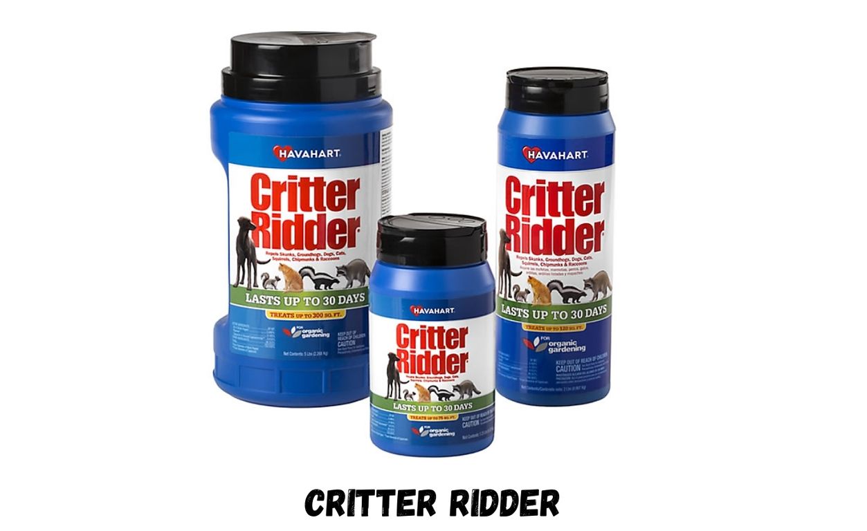 A Complete Guide to Critter Ridder Moore OK